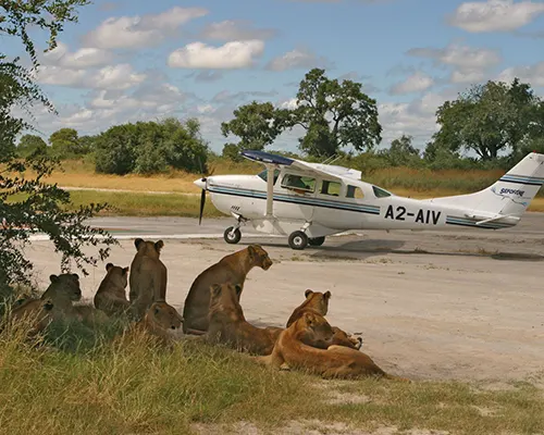 3-Day Fly In Tanzania Safari Adventure - Luxury Safari