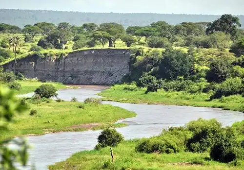 Tarangire River Valley - Wildlife and Baobab Trees