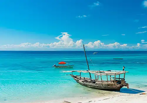 Zanzibar Island Beach - Tropical Paradise in Tanzania