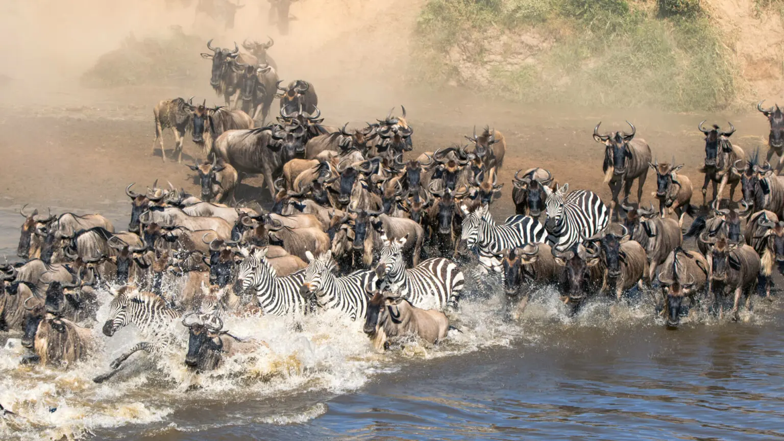 4-Day Cheap Wildebeest Migration Safari