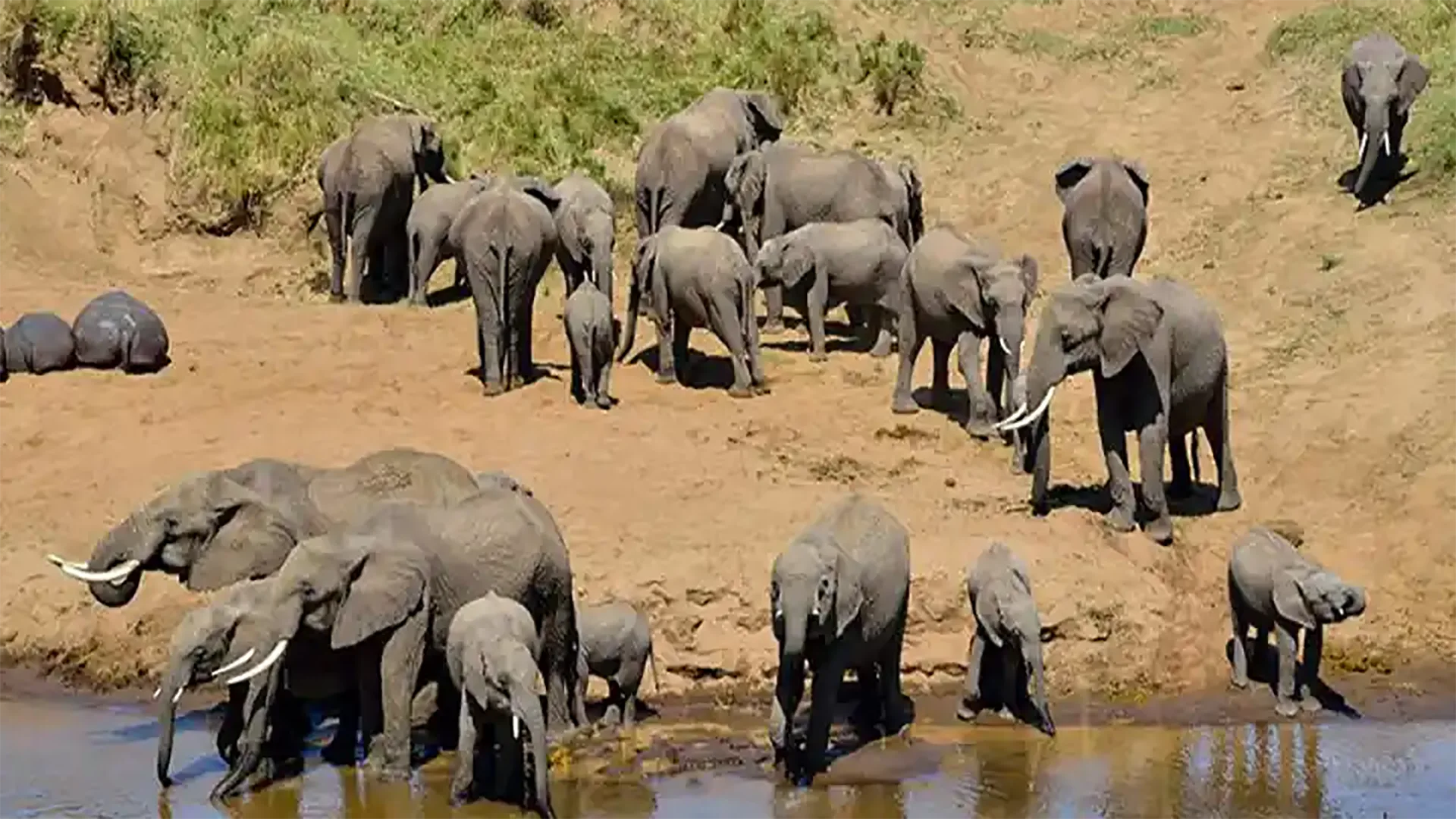 4-Day Northern Tanzania Safari