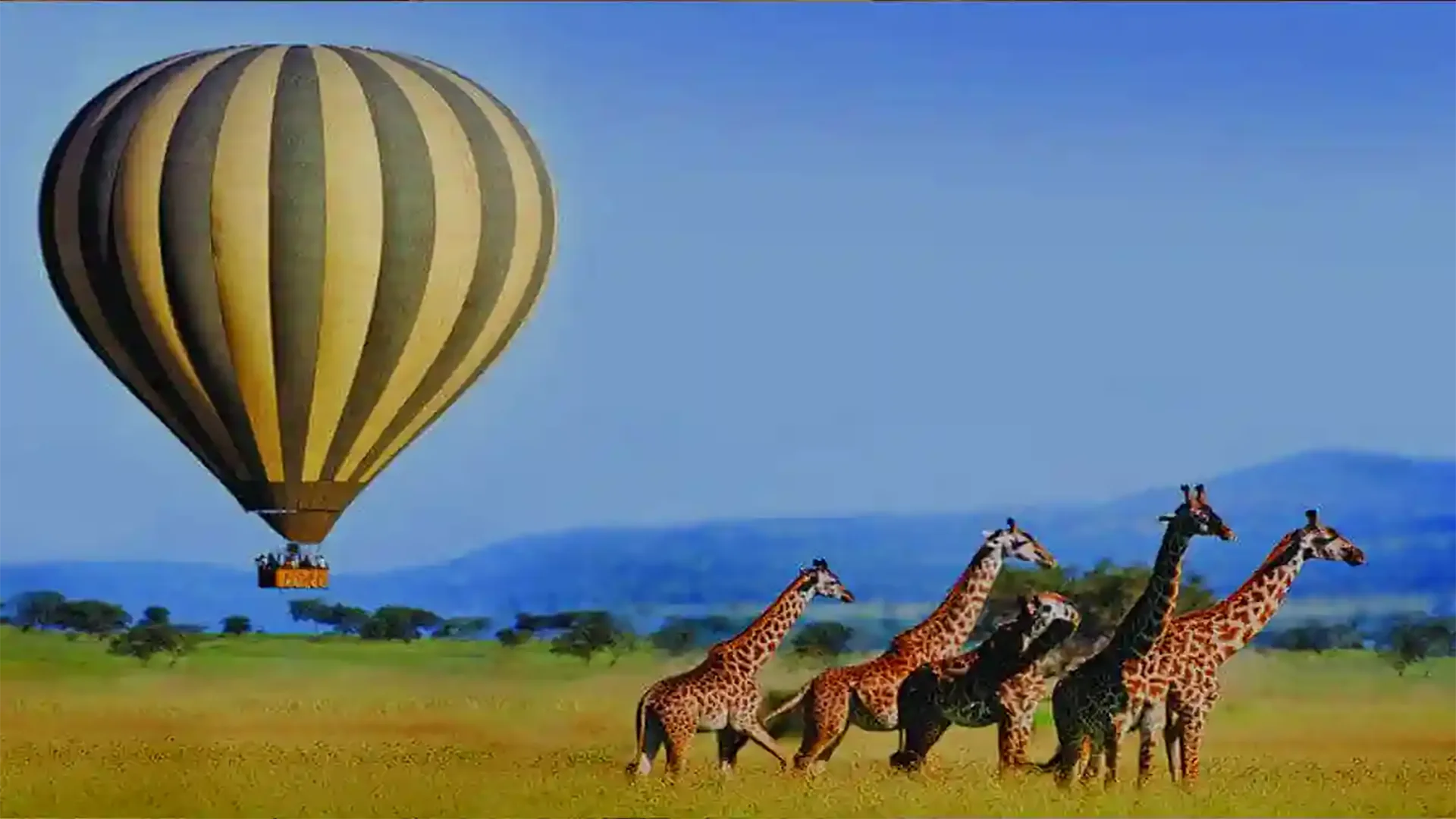 7-Day Discover Northern Tanzania Safari Adventure