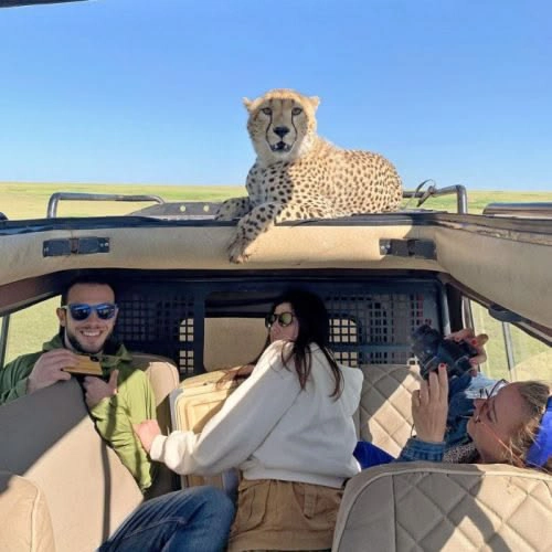 Group Safari Travelers in Tanzania