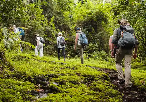 Parco Nazionale di Arusha Day Tour - Avventura Near Mount Meru