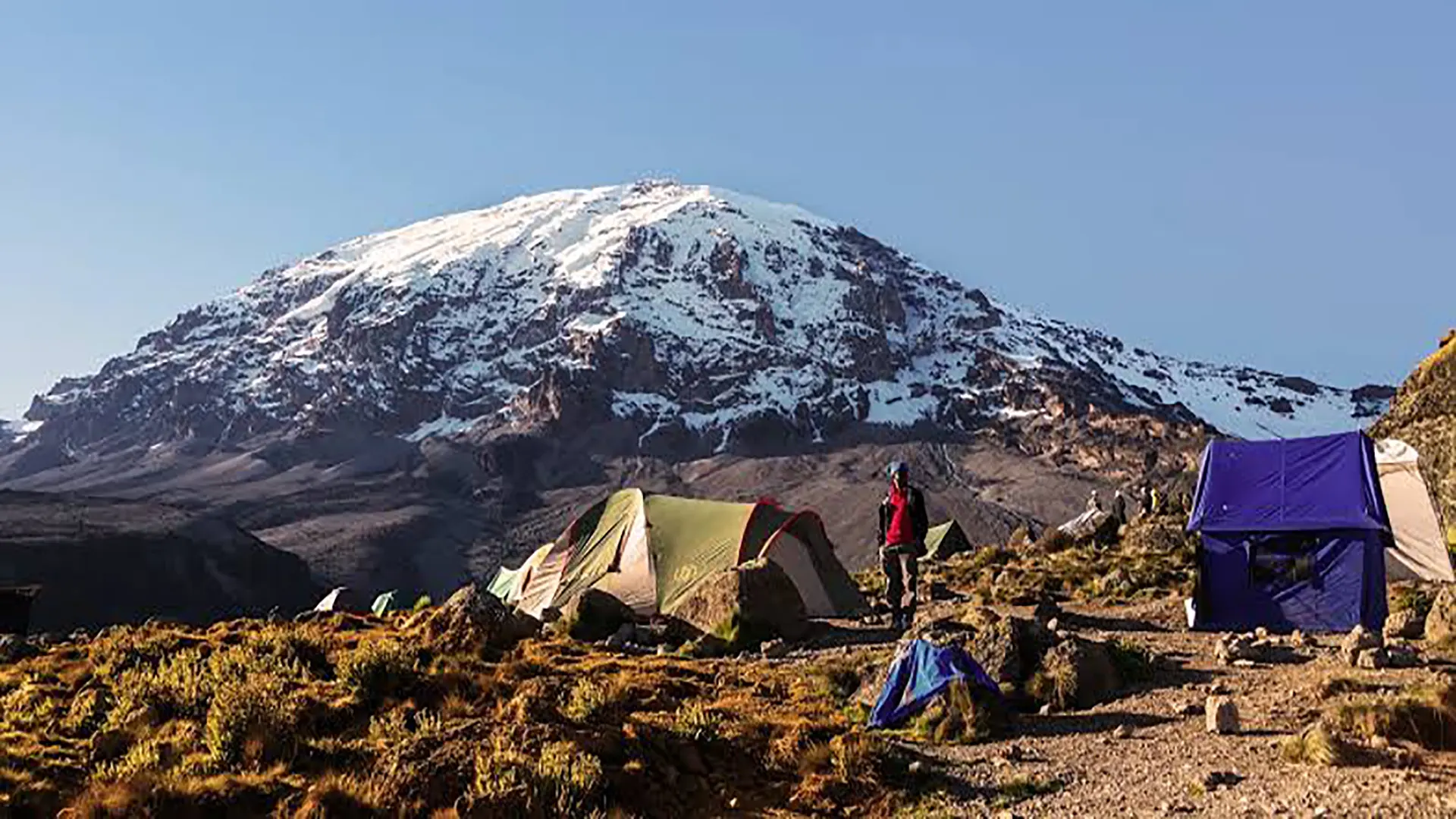 7-8 Day Mount Kilimanjaro Lemosho Route