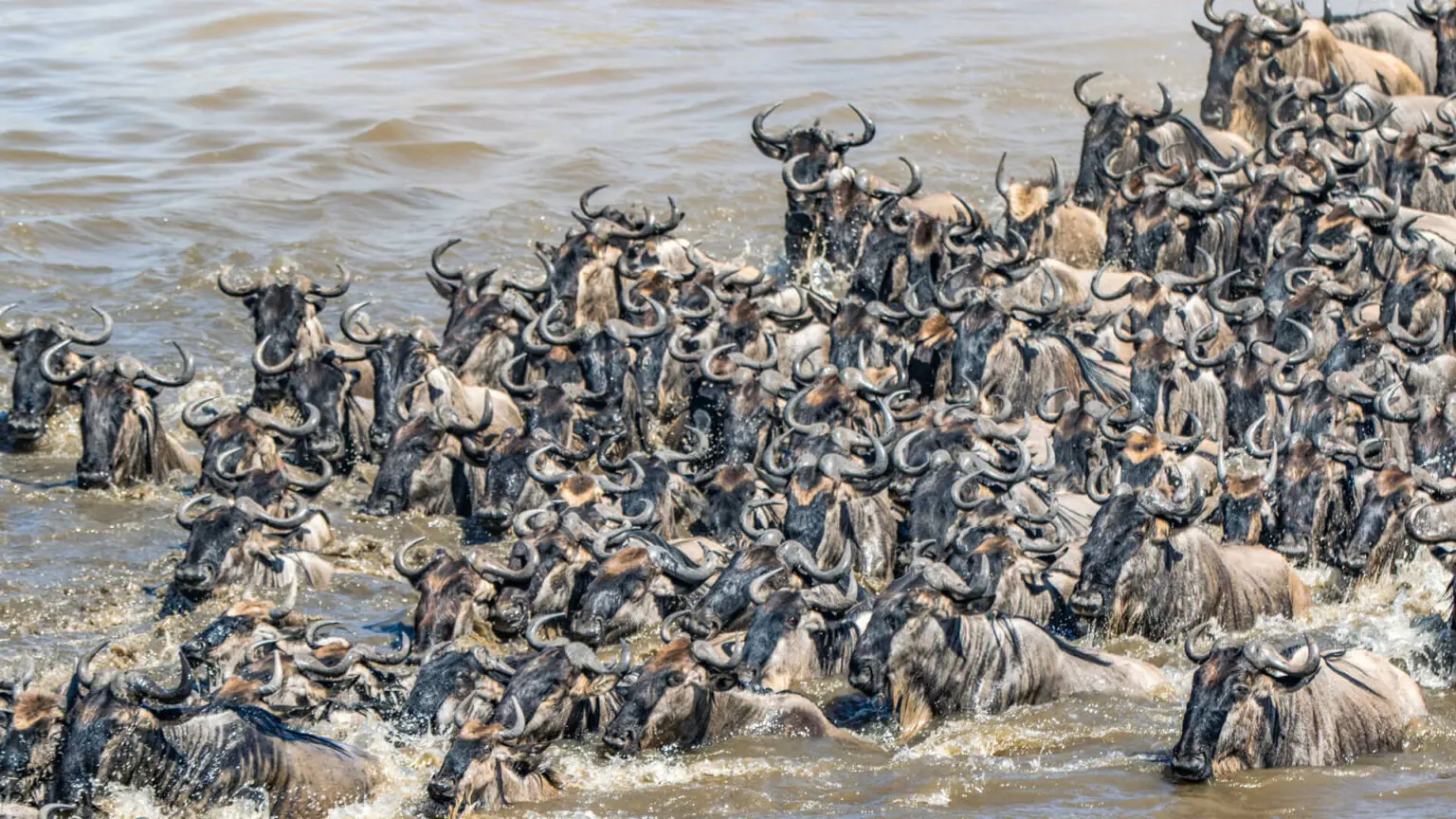 Safari di 7 Giorni nel Sud della Tanzania – Sentieri Selvaggi
