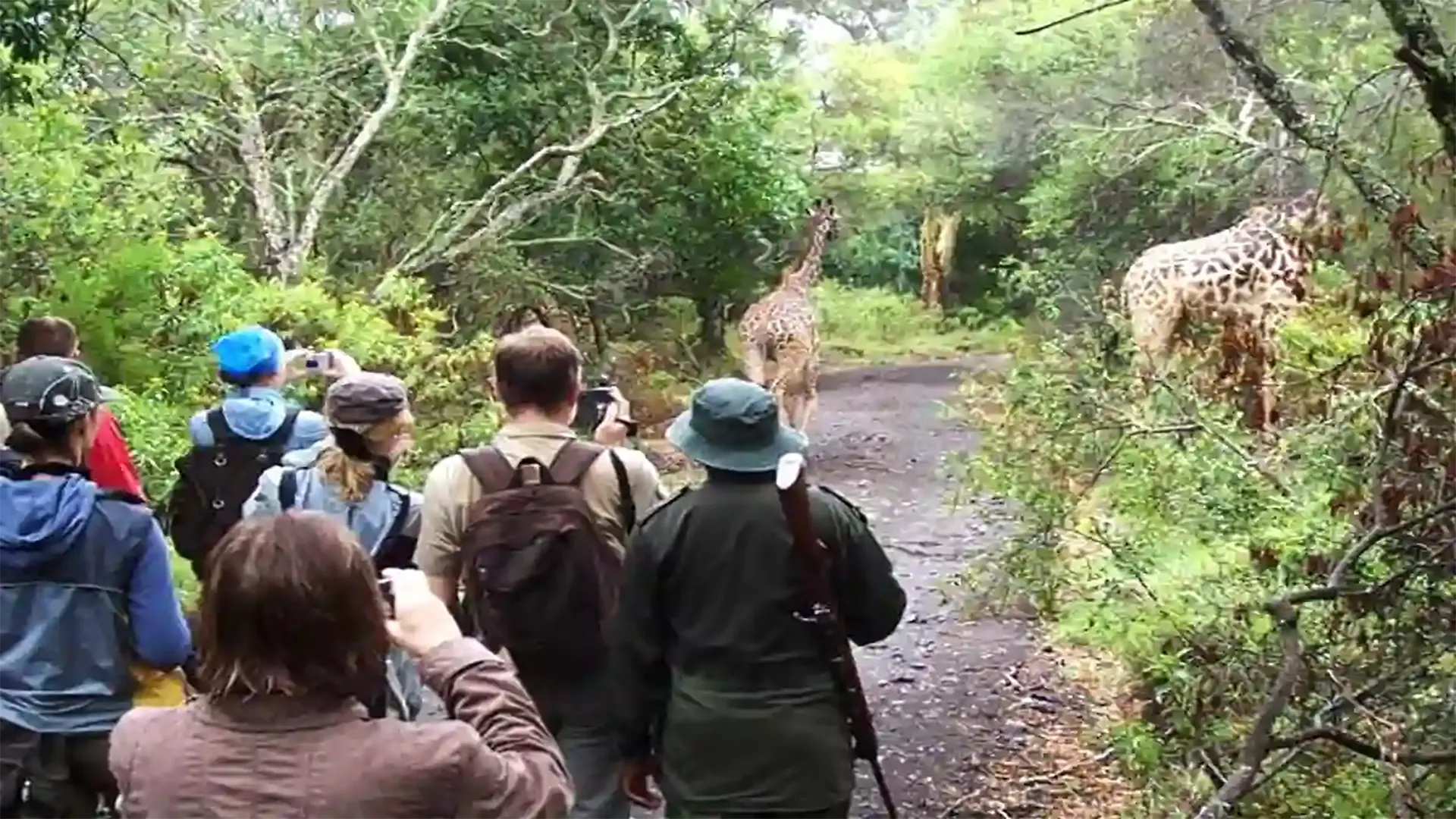 Safari di Gruppo Tanzania