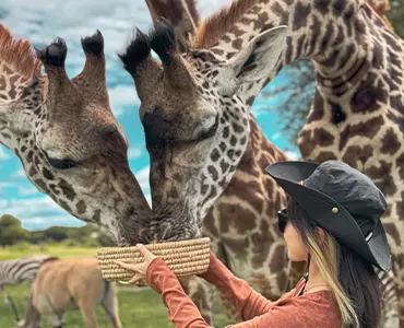 Safari di Lusso Tanzania
