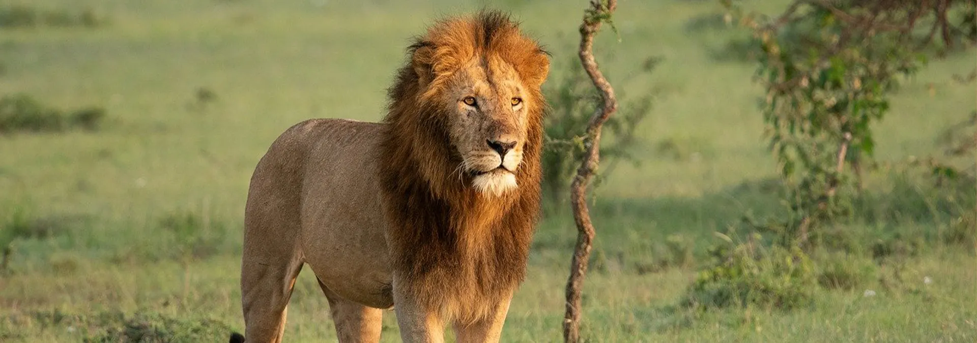 Solo Traveler in Tanzania with Guide